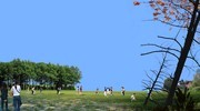 公园树林景观效果图素材