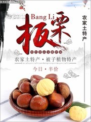 农家土特产板栗促销海报图片