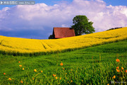 Ψ����԰�����Ȼ�羰ͼƬ