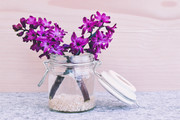 瓶中紫色花朵鲜花图片素材