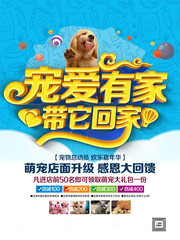 宠爱有家带它回家 宠物店海报