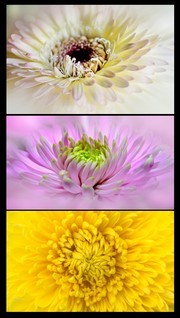�ջ����ܸ��屳��ͼƬ�ز�