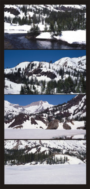 雪山松树林风景高清图片