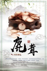 鹿茸中医宣传图片素材