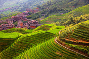 美丽的梯田自然风景图片