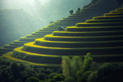 梯田风景摄影图片