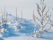 雪地风景背景图片