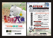 预防狂犬病宣传知识传单图片