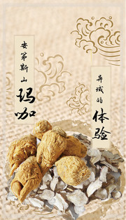 玛咖中草药海报图片素材