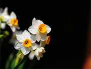 ˮ�ɻ���д����ͼƬ�ز�
