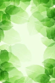 ��ɫҶ�ӱ���ͼƬ�ز�