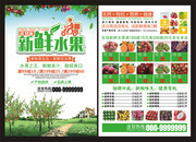 水果促销宣传单页图片下载