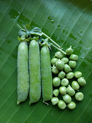 豌豆高清图片