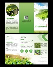茶叶宣传三折页