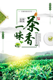 新茶茶叶海报设计素材