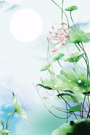 夏季荷花背景图