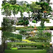 园林植物景观设计素材