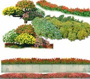 植物景观设计图片素材