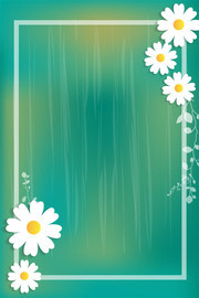 清新白色菊花海报背景