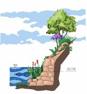 生态结构型护岸景观设计图片下载