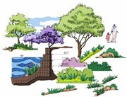 园林景观手绘设计图片素材