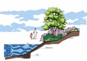 生态结构型护岸园林景观图片素材