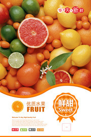 优质新鲜水果促销海报 