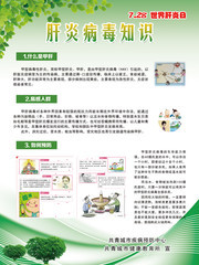 绿色肝炎病毒知识宣传展板