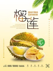 时尚炫光简约风水果榴莲海报