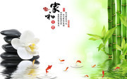 ��ʽ�Һ͸���ŵ䱳��ǽ�ز�