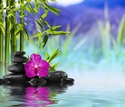 竹子鹅卵石蝴蝶兰水的背景图片素材