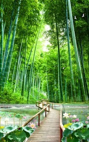 竹林小路风景装饰画图片