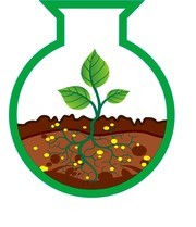 植物卡通插画图片下载