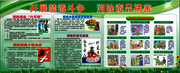 禁毒宣传栏图片