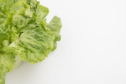 绿色生菜图片