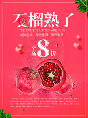 石榴海报图片