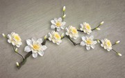 玉兰花壁画装饰