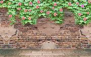 ��Ҷ�컨�ƾ�שǽ���ӱ���ǽͼƬ