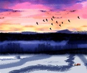 �ֻ����װ�λ�