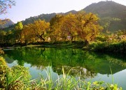 秋浦河乡村图片