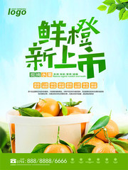 橙子海报 