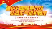 扫黑除恶党建展板