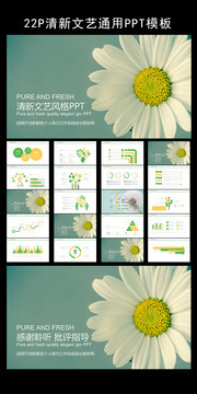 清新文艺通用PPT模板