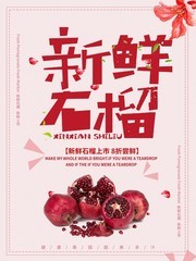 新鲜石榴促销海报