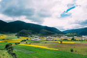 香格里拉村庄和农田风景摄影