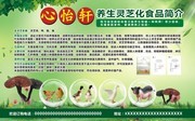 养生农产品宣传海报图片素材