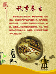 秋季养生海报