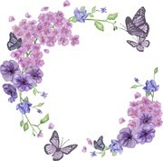 ��ɫ���ƺ���ʸ���ز��ز�