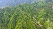 青翠的大山图片