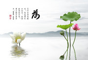 清新荷花装饰壁画素材
